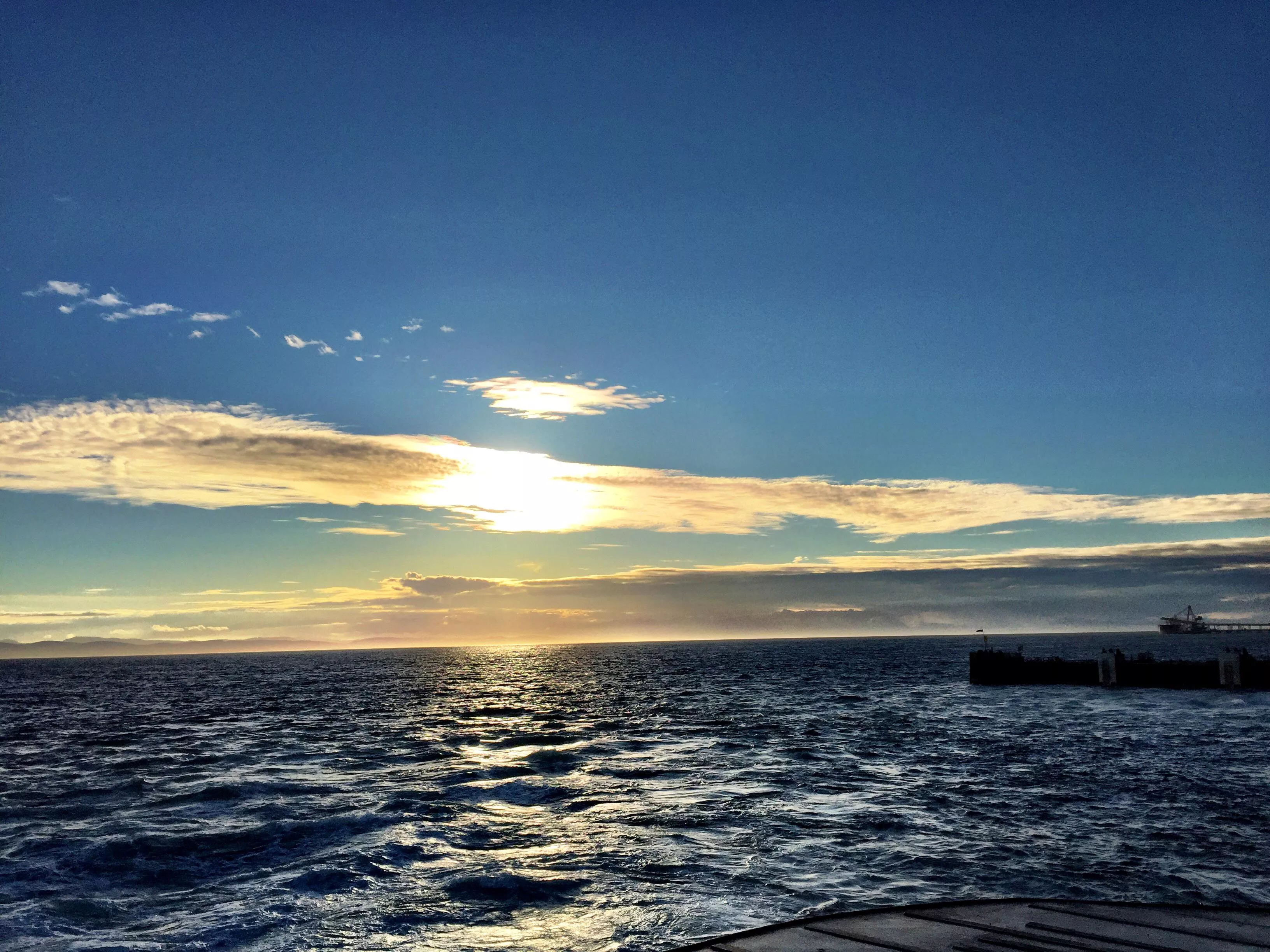 38 [M4F] Any Freaky South Asian Girls DTF This Weekend?