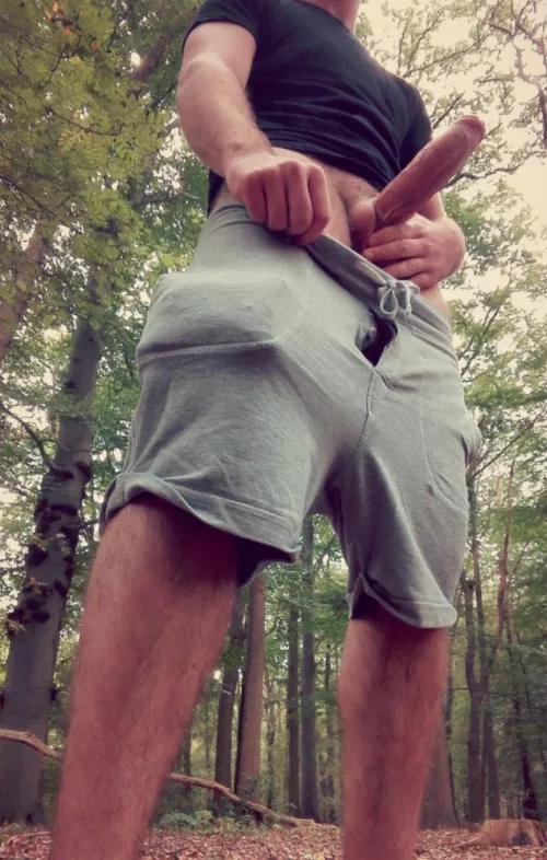 A woody in the woods 