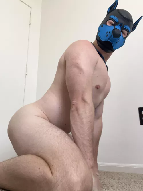 Almost the weekend, which means it is time to have some fun