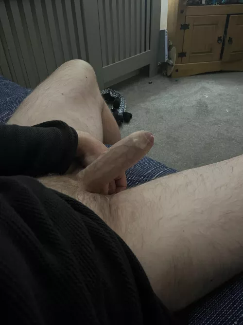 Any hung guys wanna compare?