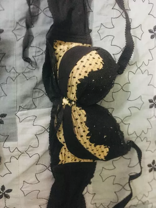 Any padded bra seller from india ???