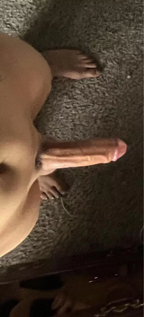 Anyone interested? 37 male