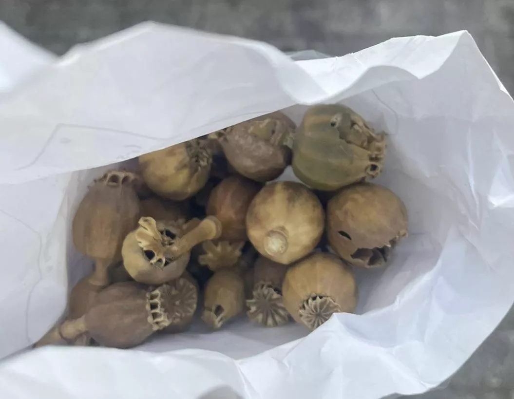 Are the ones on the left right