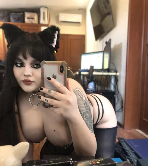 Are you into goth kitties with big tits? 