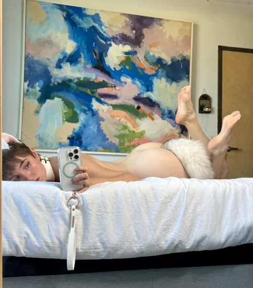 are you really going to let your kitty be bored?