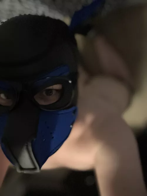 Assuming the good boy position 🤓