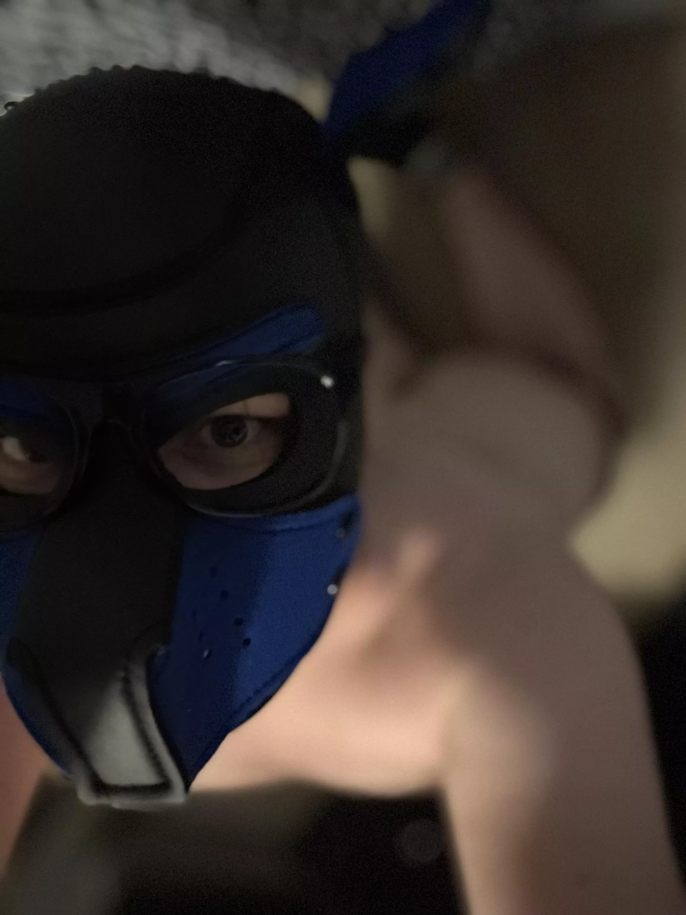 Assuming the good boy position 🤓