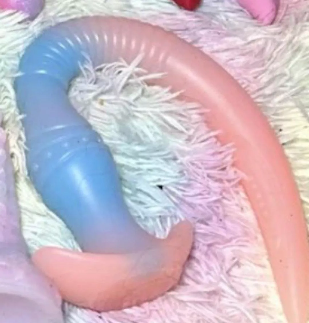 Can anyone ID this toy? 