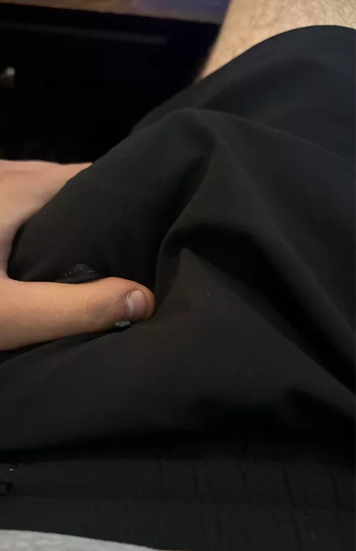 Can host in Brighton looking for head or swap