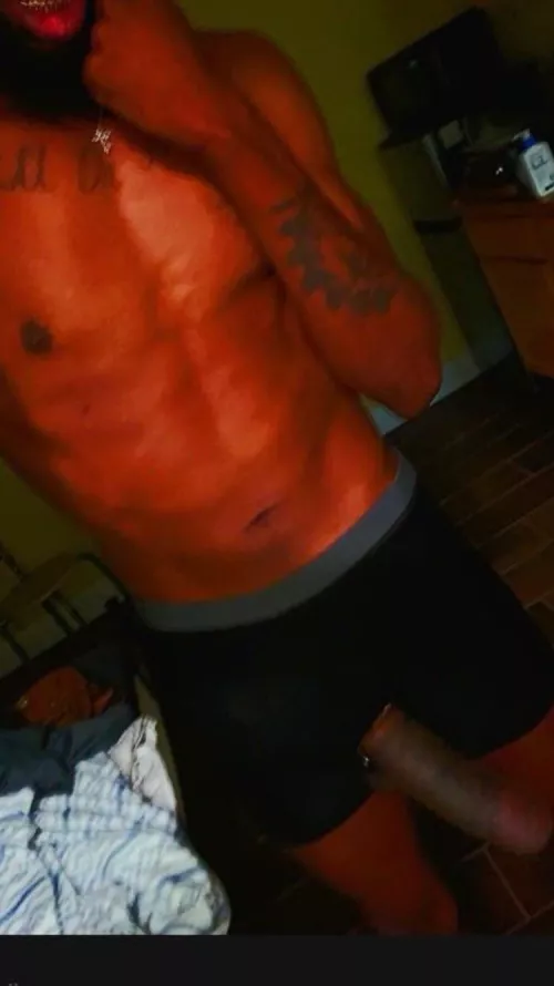 Carrolwood Tampa . Thinking hotel party M4FFF