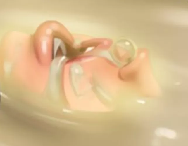 Counting The Clenches