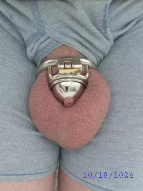 Daily Check In: Day 17