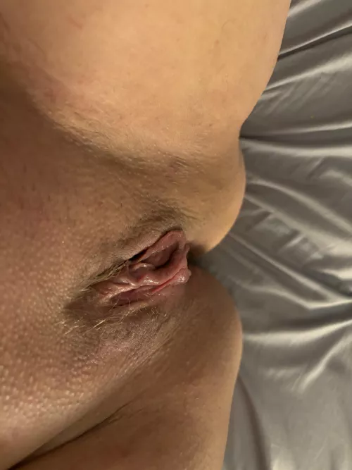 F4F horny af let’s chat 