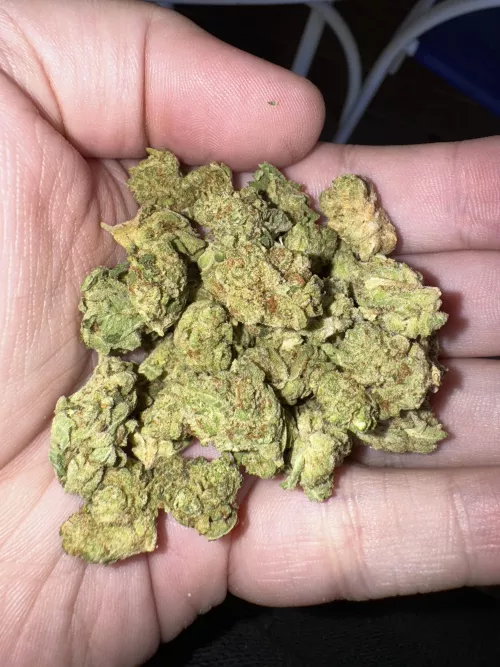 HF GG4 (Gorilla Glue #4) 