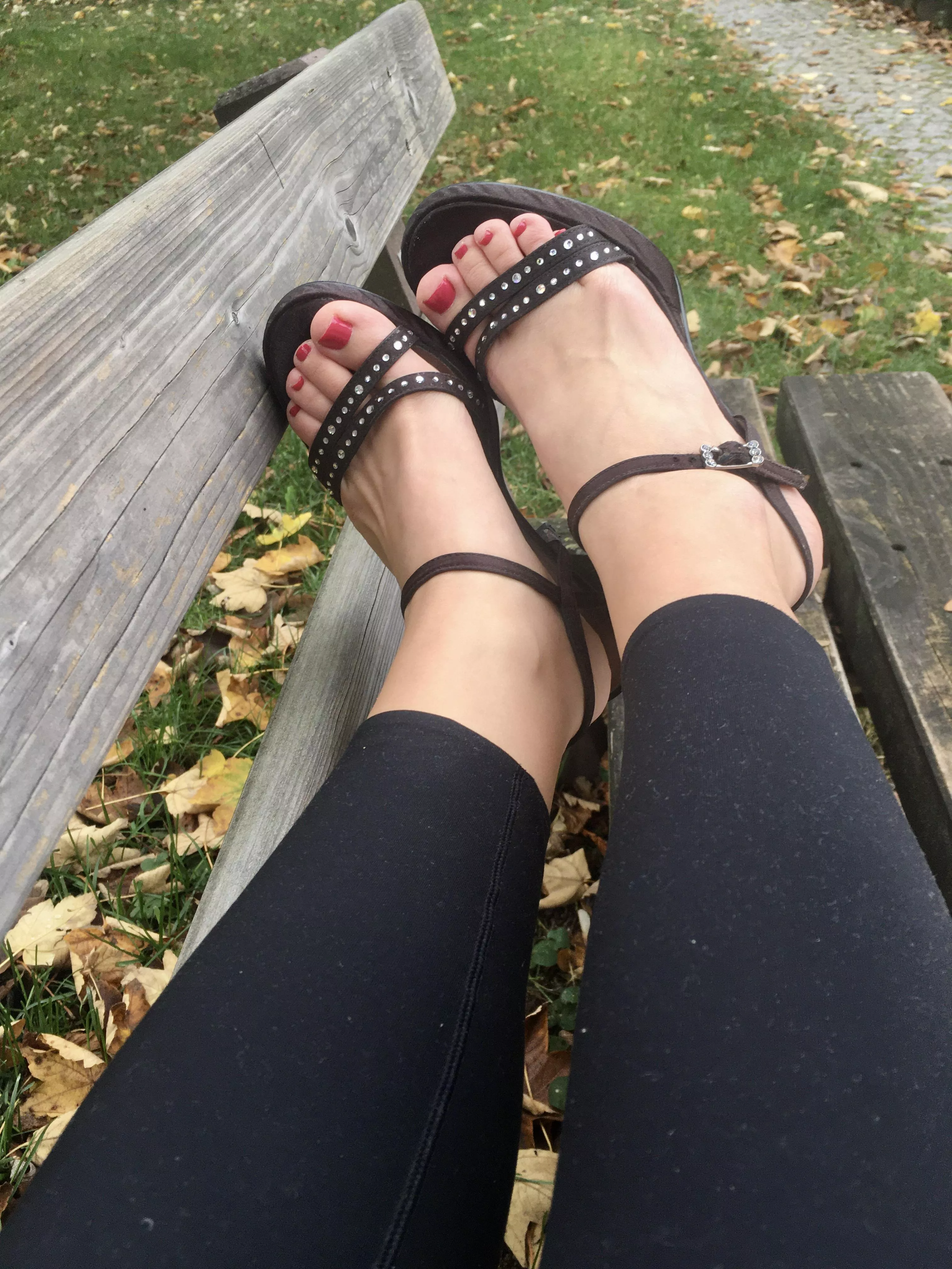 Hi! Do you like them? 🐶