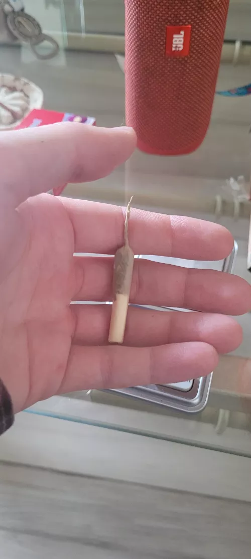 Hoje eu bolei esse pequeno 