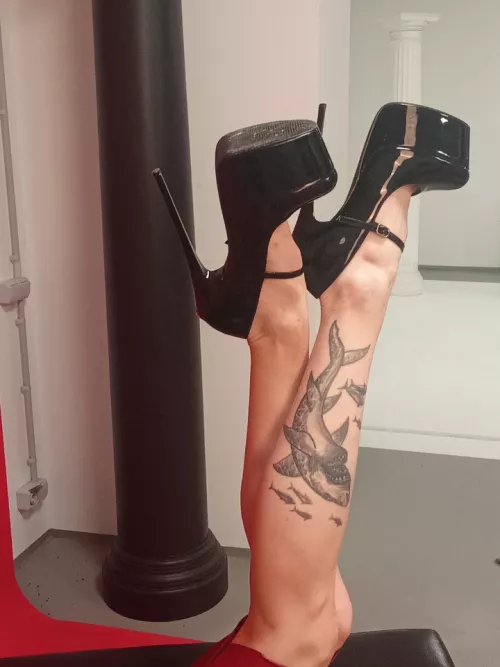 Hope you like sharks