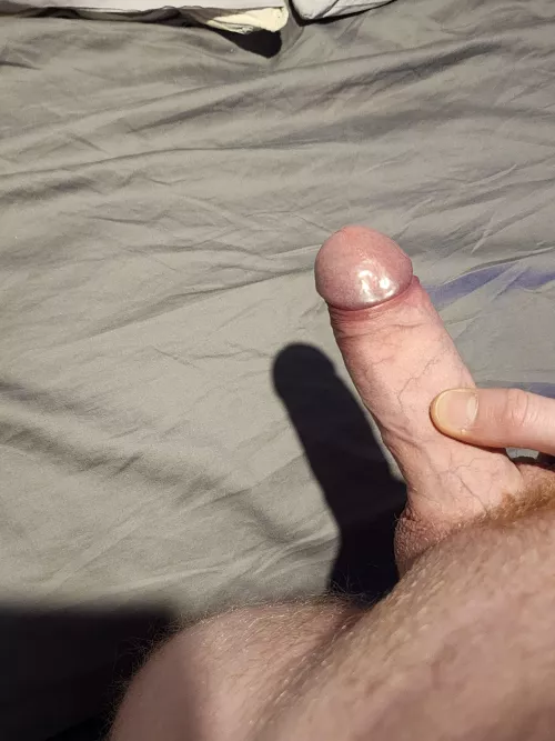 Horny attached straight hosting for sneaky darkroom fun. 