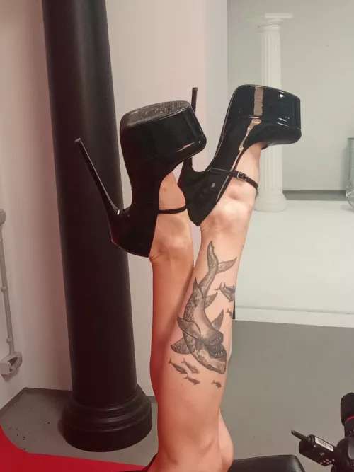 I wish you like sharks and heels