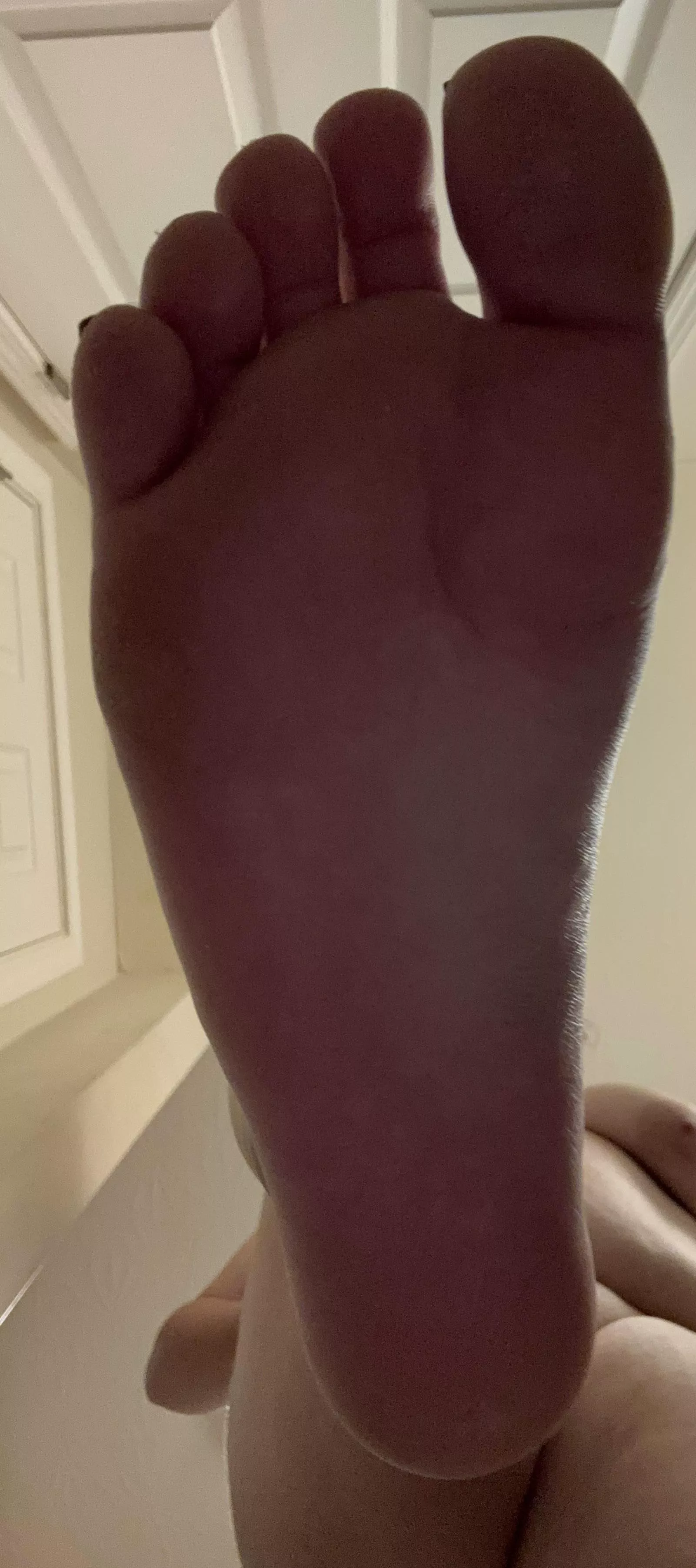 It’s payday piggies 🤑