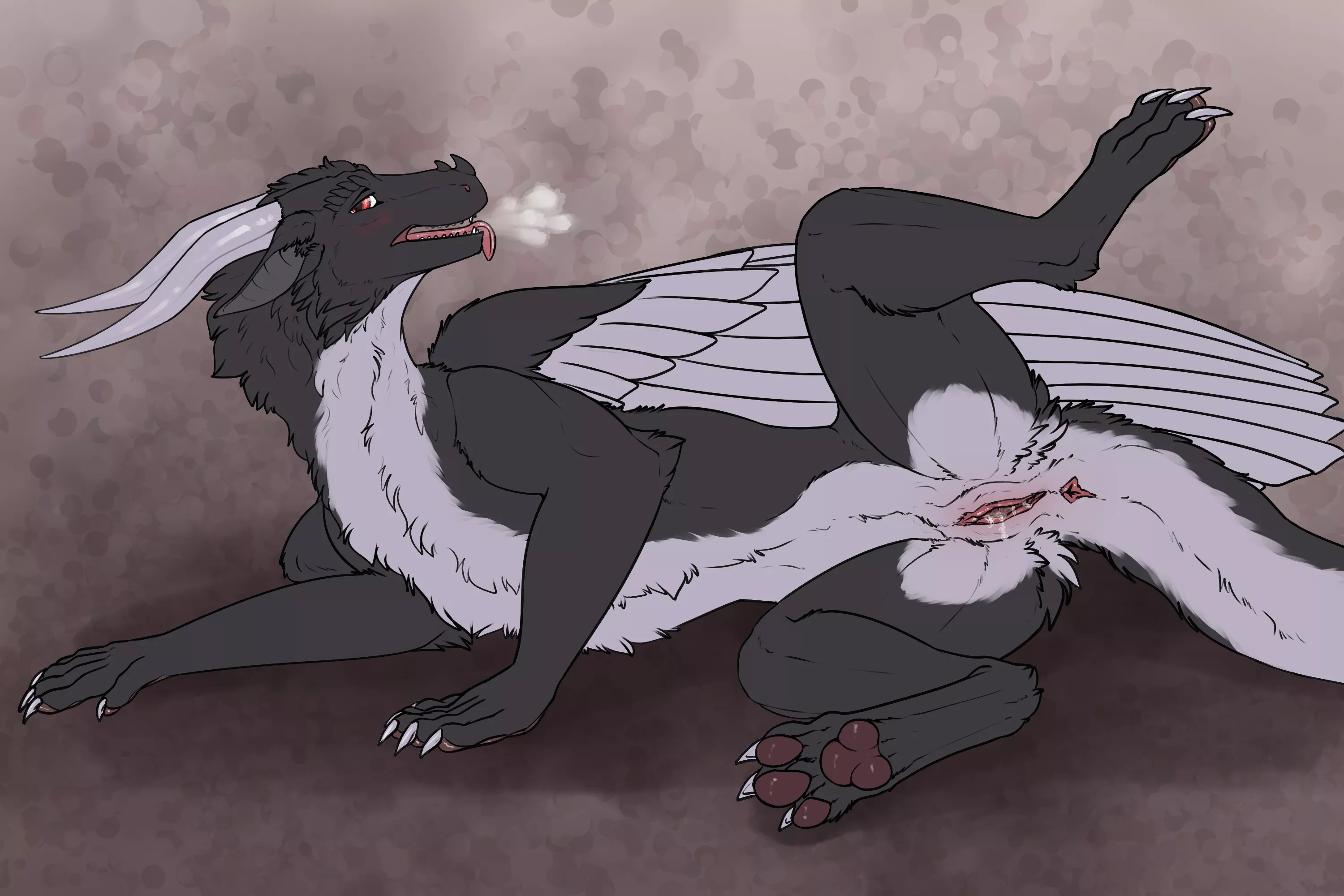 Leg lifted [F] (ennismore)