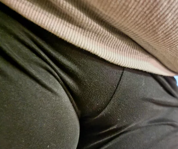 Looking for bbc lakeland fl