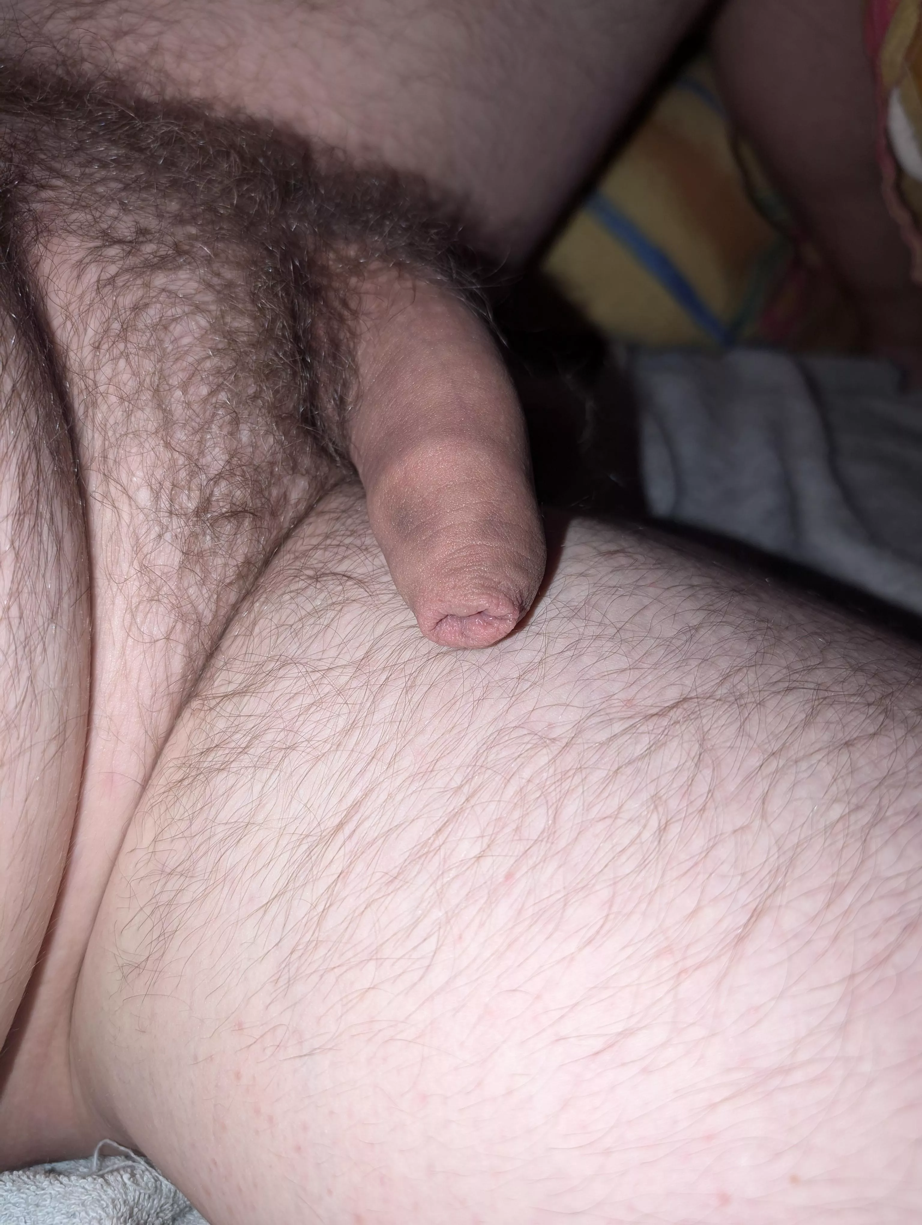 M26 jemand Lust meinen kleinen steif zu machen und meine Eichel zu benutzen? Bin Zuhause 97828 Marktheidenfeld 