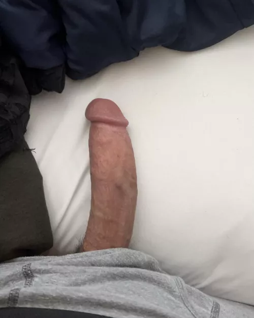 M28 4 F/Couples in Eugene area