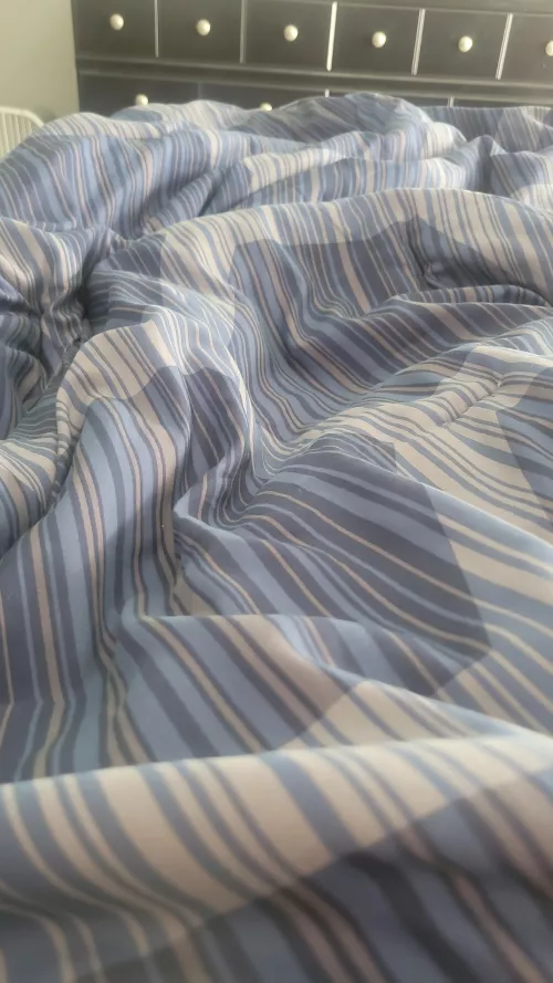 M4F looking for a female to take my virginity 38 can host 