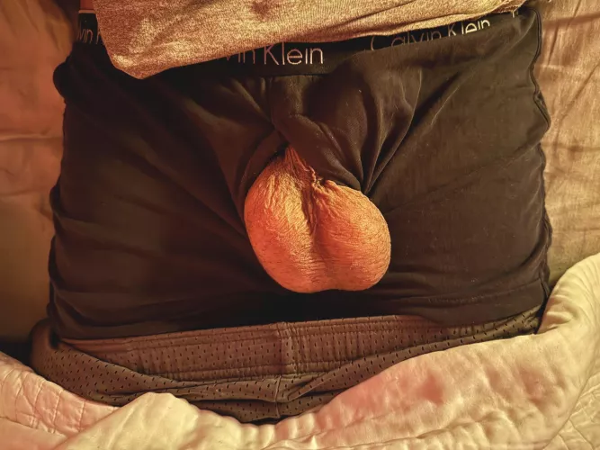 my big fat plums [40]