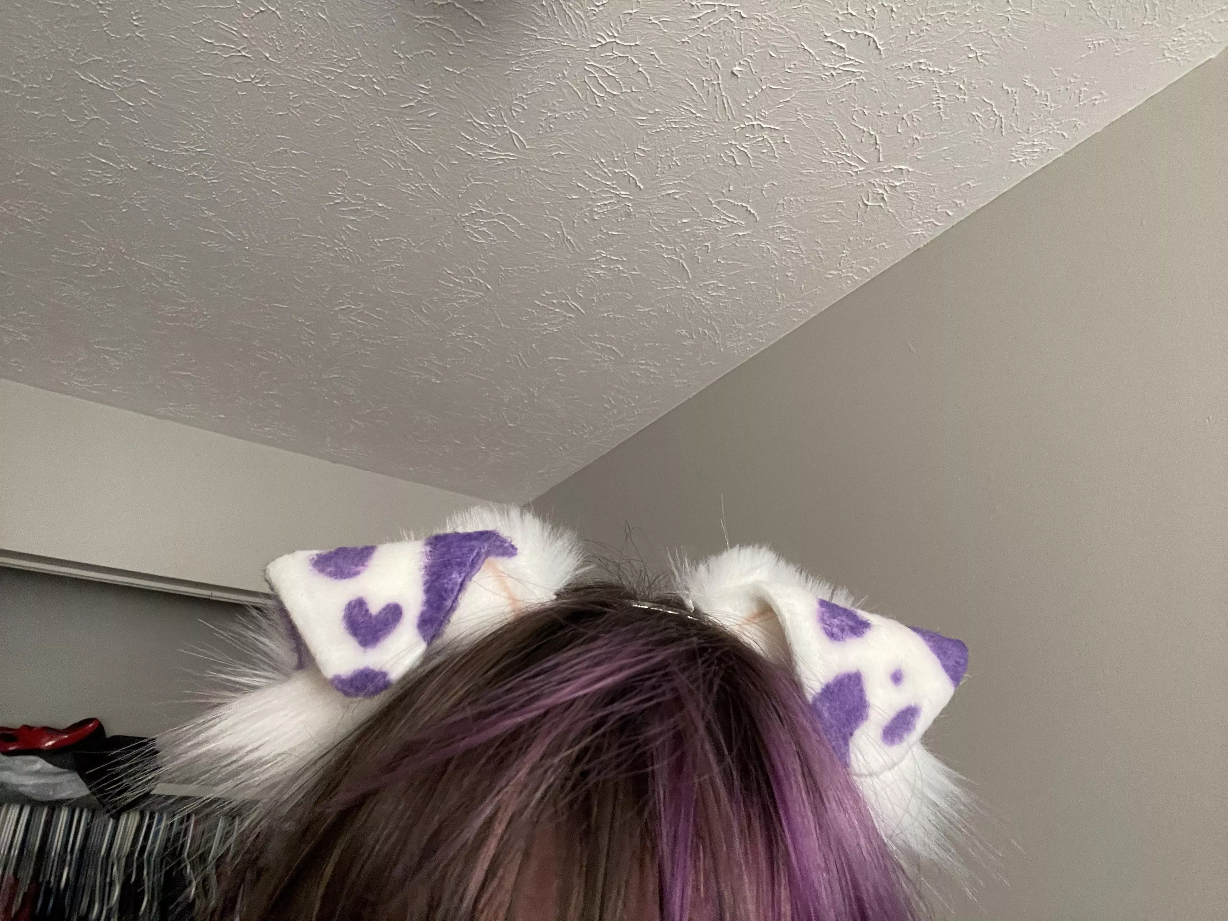 My puppy ears arrived 💜