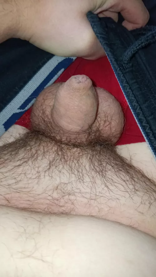 My small dick 