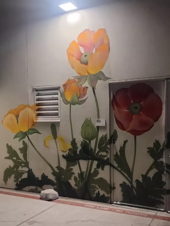 papavere somniferum? how many for tea? 