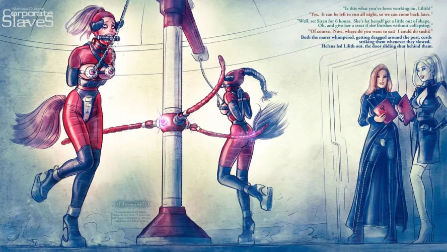 Ponies in the hot walker