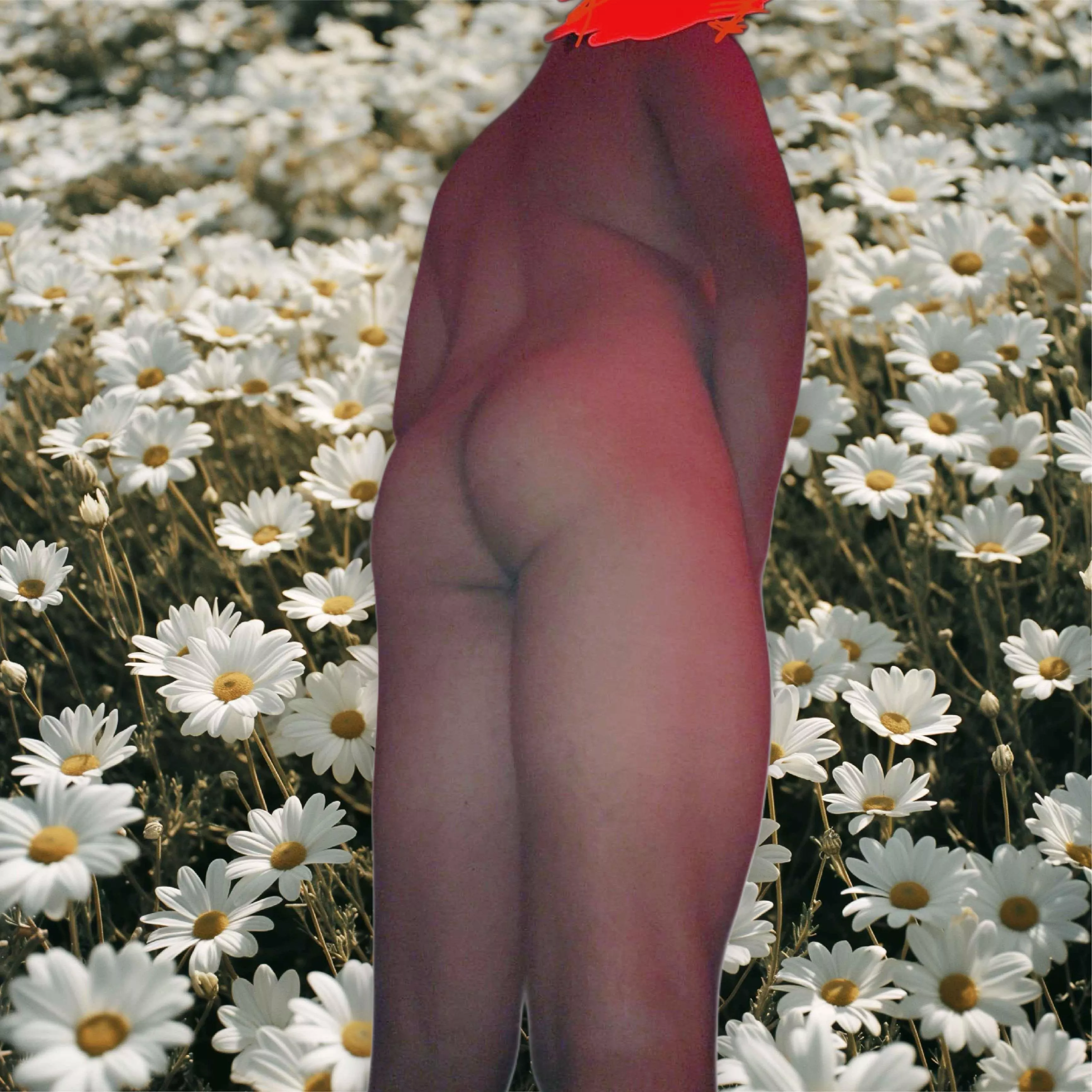 Seeking tops who can handle the whole package (minus the wrapping 🎁) Bottom's up! 🍑🥂 Safety first, always! 🛡️ Non-negotiable. Not into kissing or oral, but my buns are ready for action maybe! (25 M Tempe/Phx or nearby)