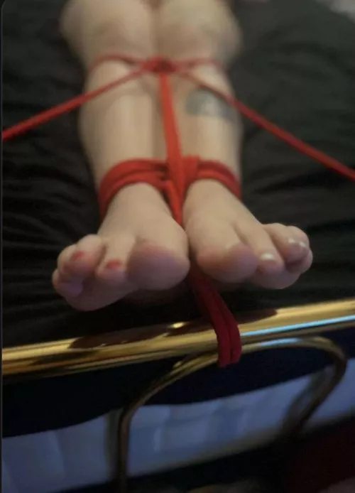 Semi experienced[m] rigger needs female models, hmu