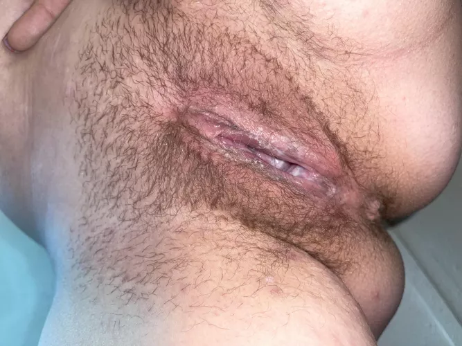 Shave her or keep her furry 