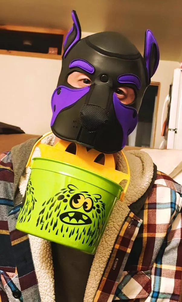 Sometimes we need a silly treat 🐾 