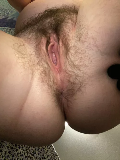 spread & ready to be bred ROUGHLY