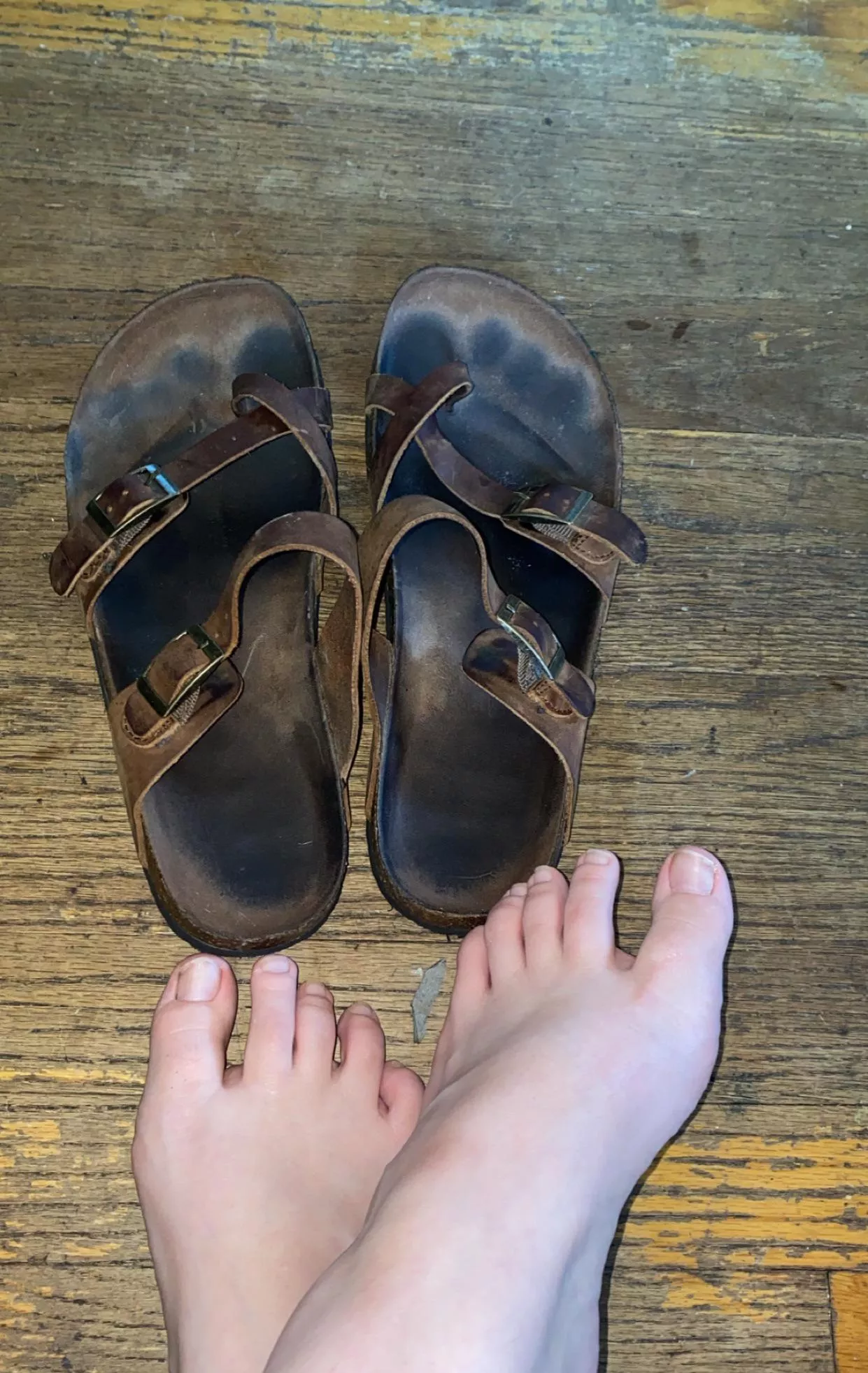 Staring, drooling, or asking to taste them? 