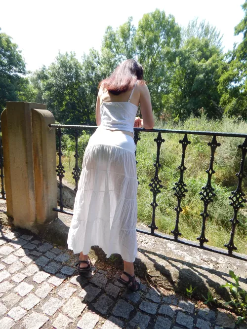 Sun again, rear view