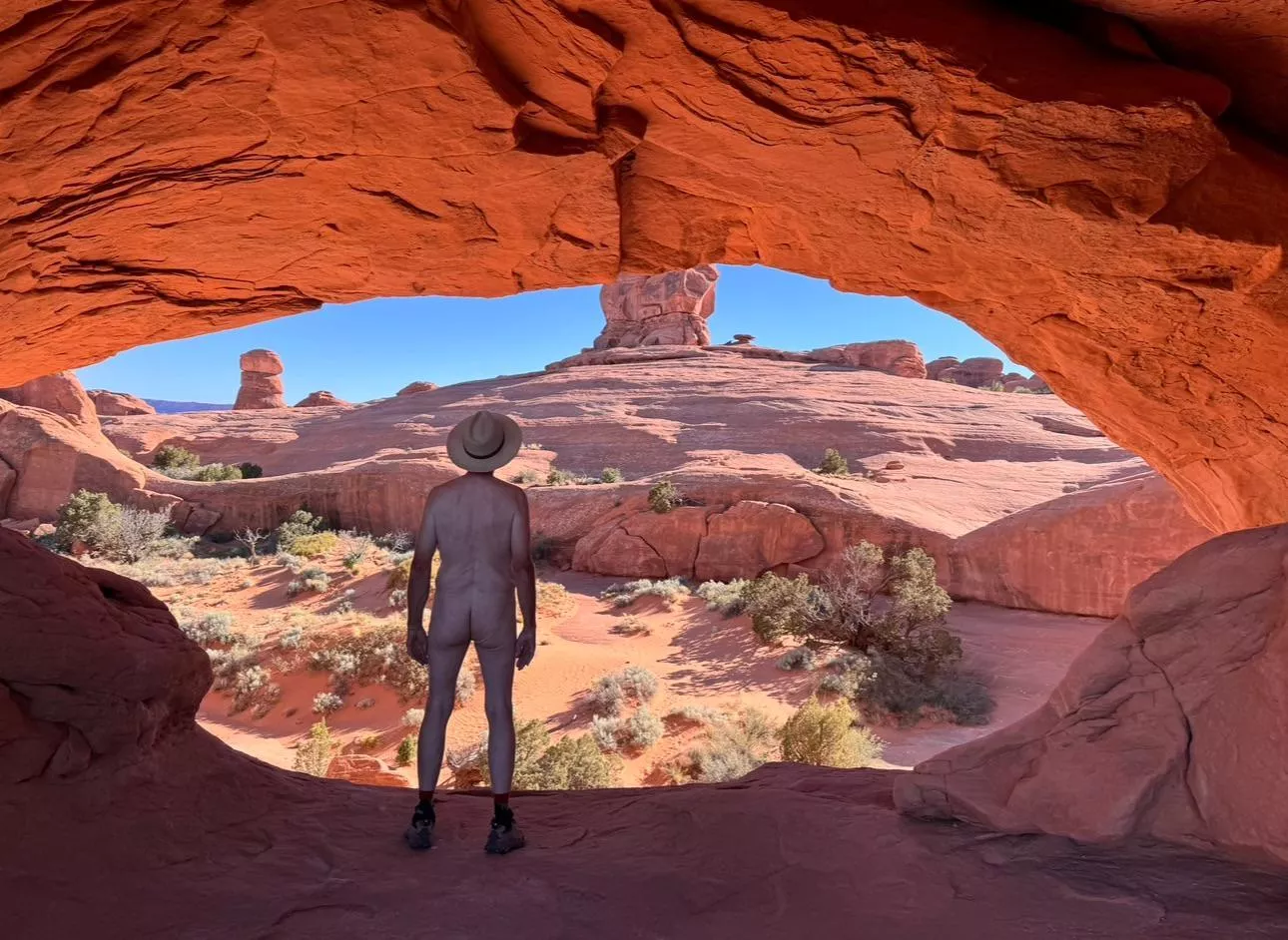 The Eye of the Whale 