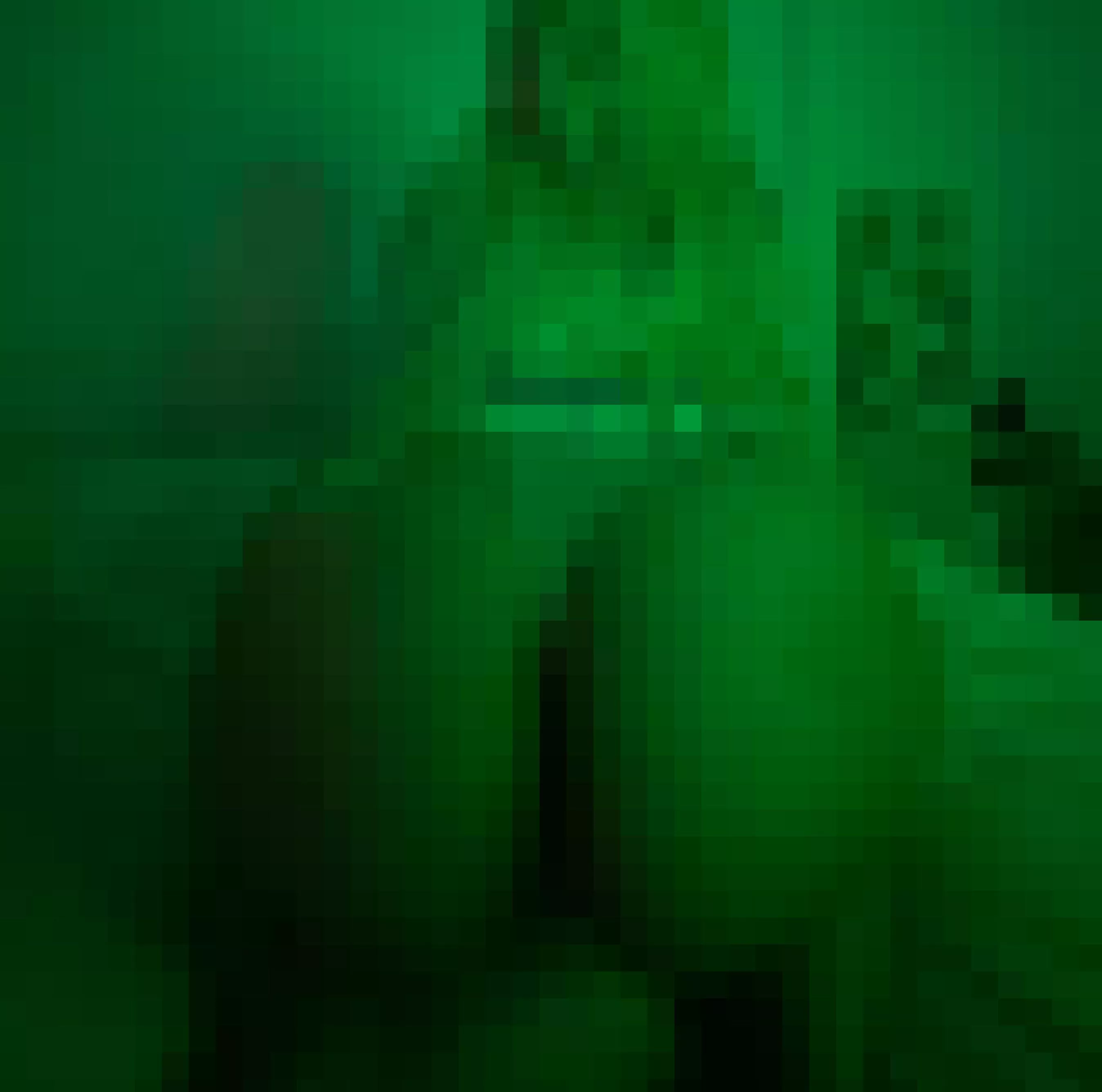 The only way to see my extreme beauty is with pixels poor ​​loser