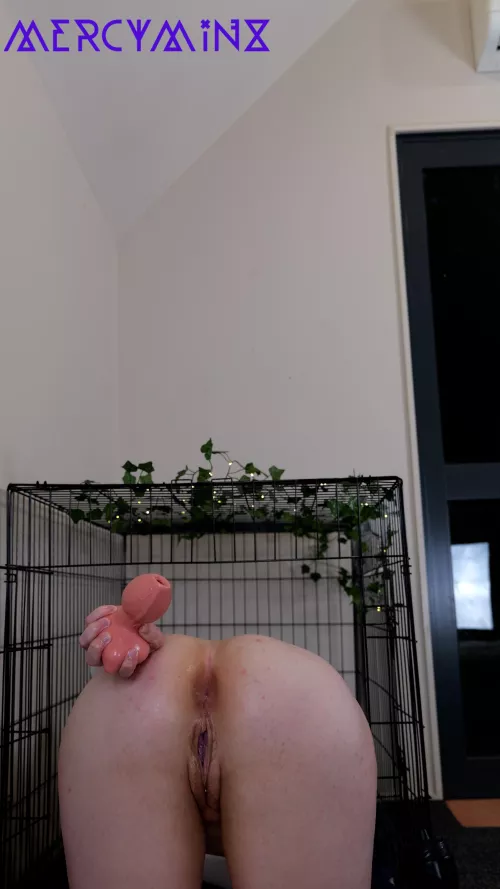 the plug comes out so the dick goes in