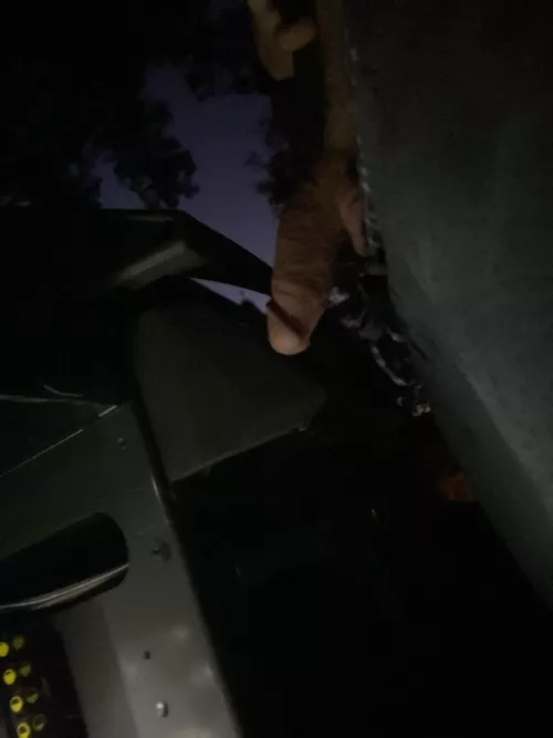 This meats not for the grill (30)