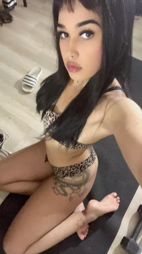 Upvote if you’d bring me home 