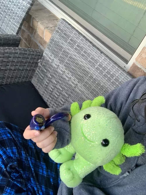 wake nd bake w/ kiwi 💚 