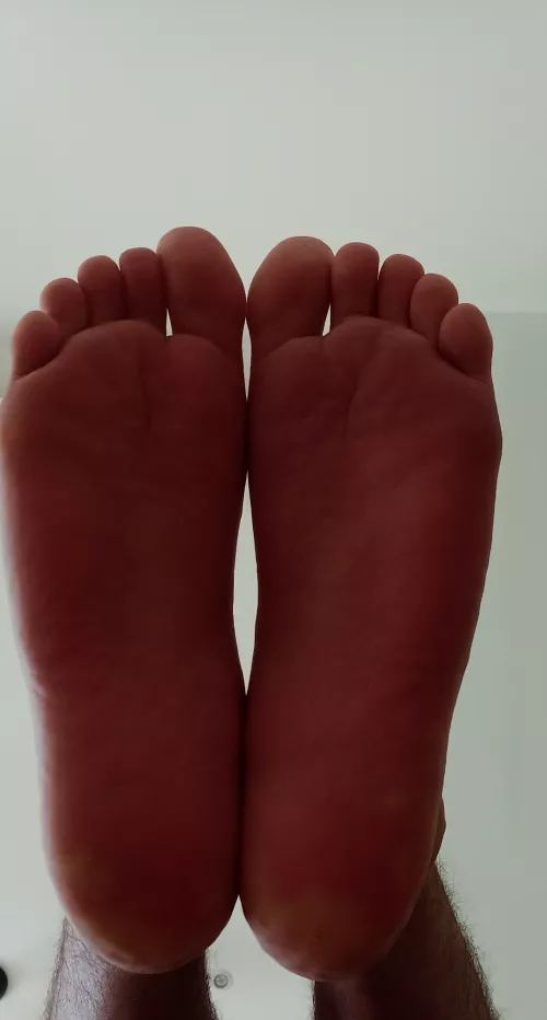 Want them on your face or cock?