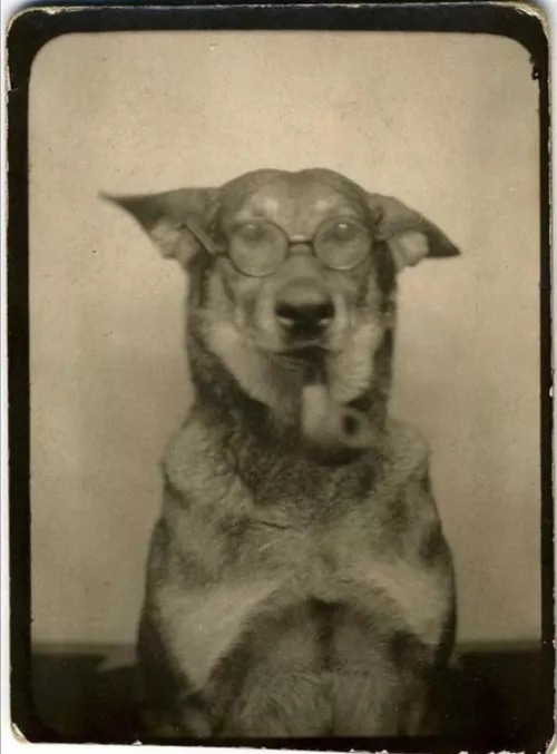 What’s this handsome fella smoking?