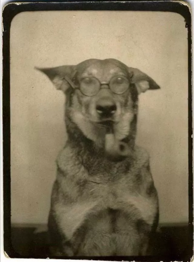 What’s this handsome fella smoking?